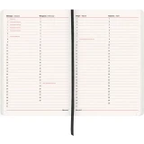 Ежедневник BRAUBERG 113284