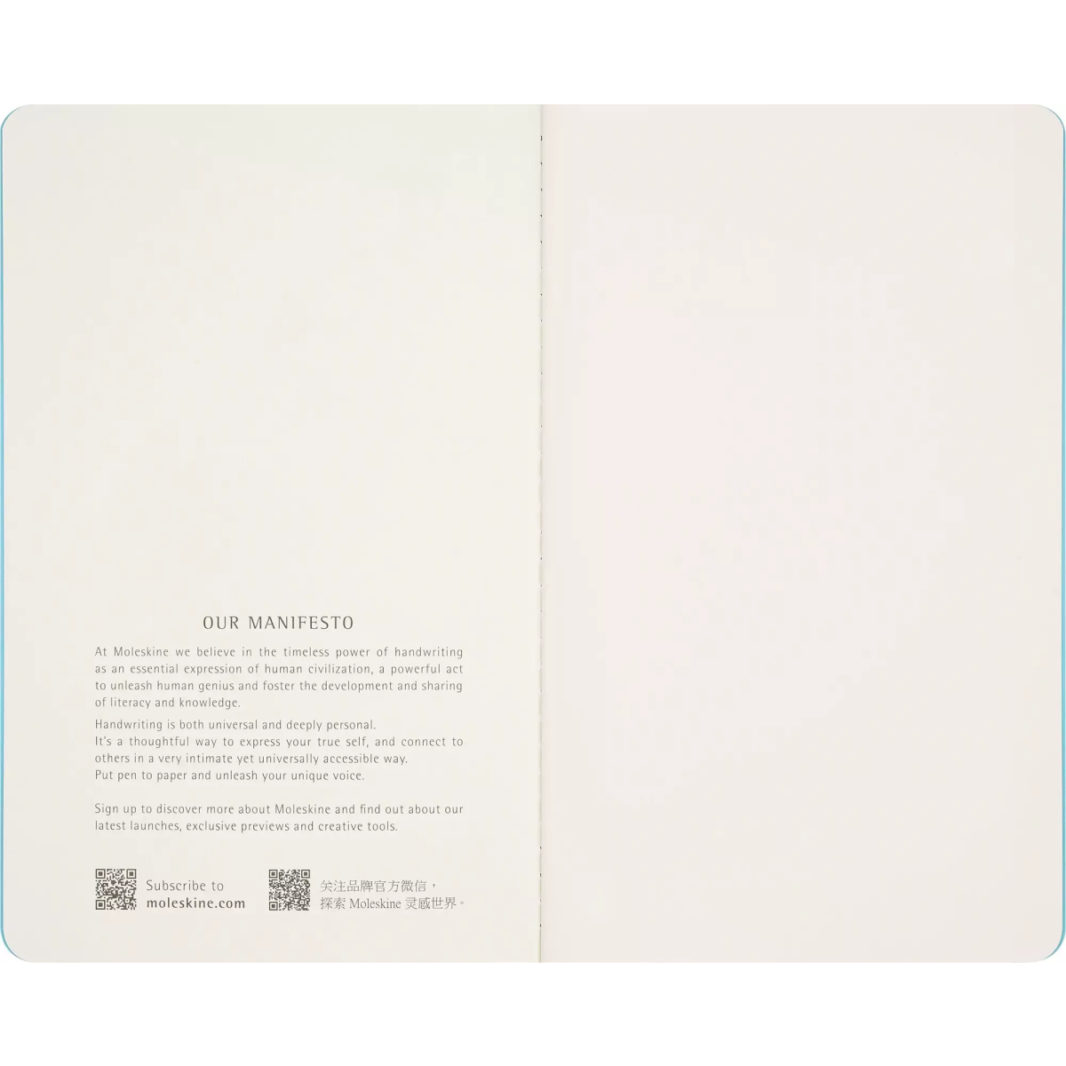 Блокнот Moleskine SKCAHL6911S3NL (2 шт.) - фото 6