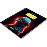 Тетрадь на кольцах Silwerhof 2001674