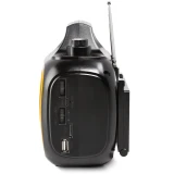 Радиоприёмник Ritmix RPR-550