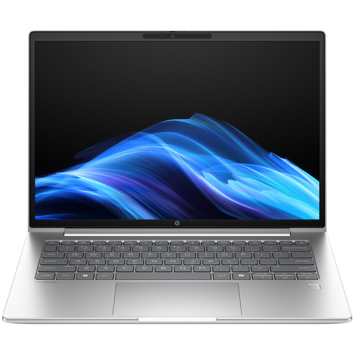 Ноутбук HP ProBook 4 G1i 16 (D0VG0ET)