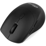 Мышь Ritmix RMW-212 Black