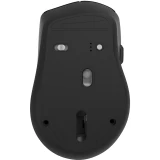 Мышь Ritmix RMW-212 Black