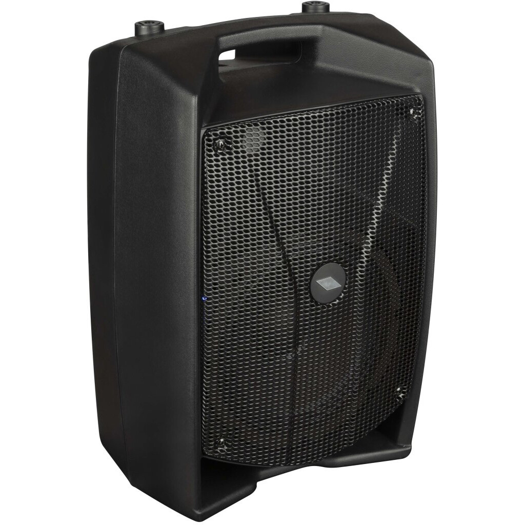 Акустическая система PROEL V8PRO - фото 4