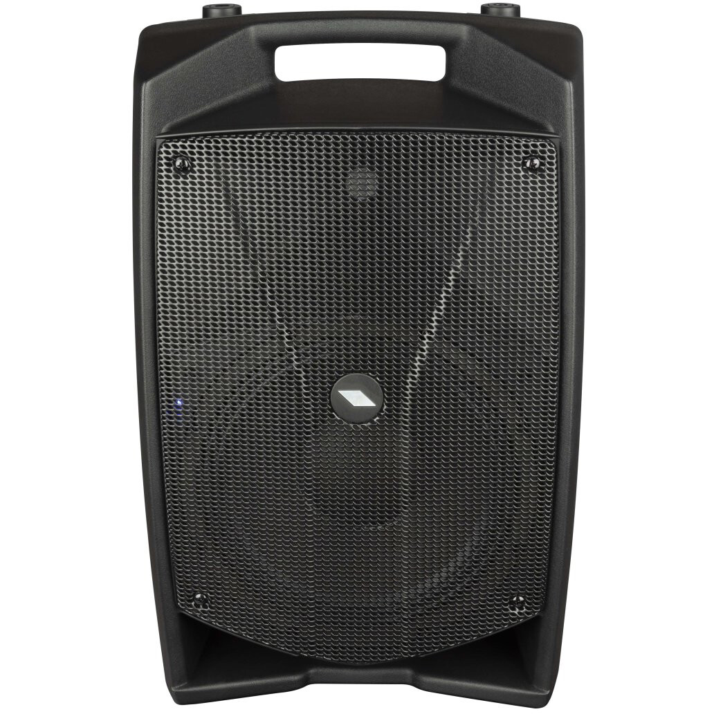 Акустическая система PROEL V10PRO - фото 2