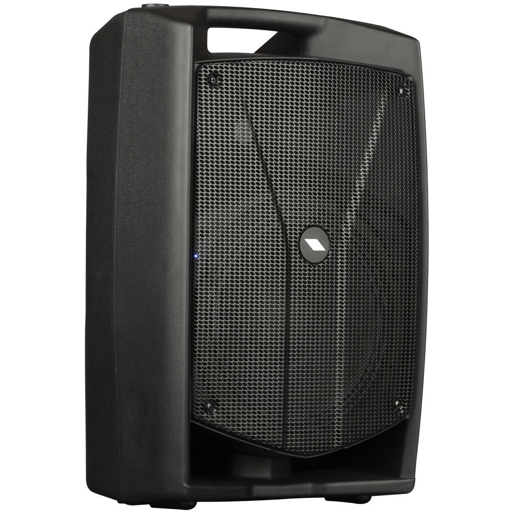 Акустическая система PROEL V10PRO - фото 3