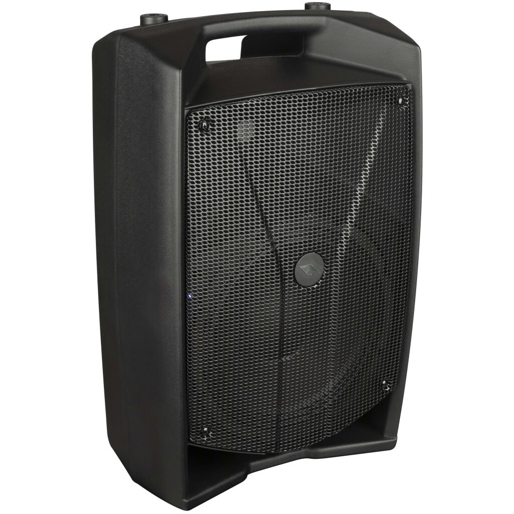 Акустическая система PROEL V10PRO - фото 4