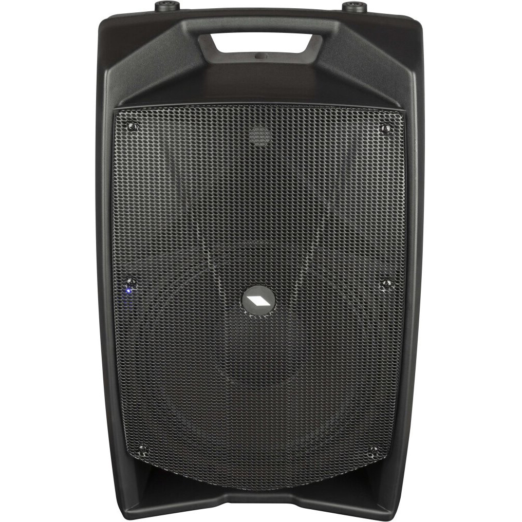 Акустическая система PROEL V12PRO - фото 2