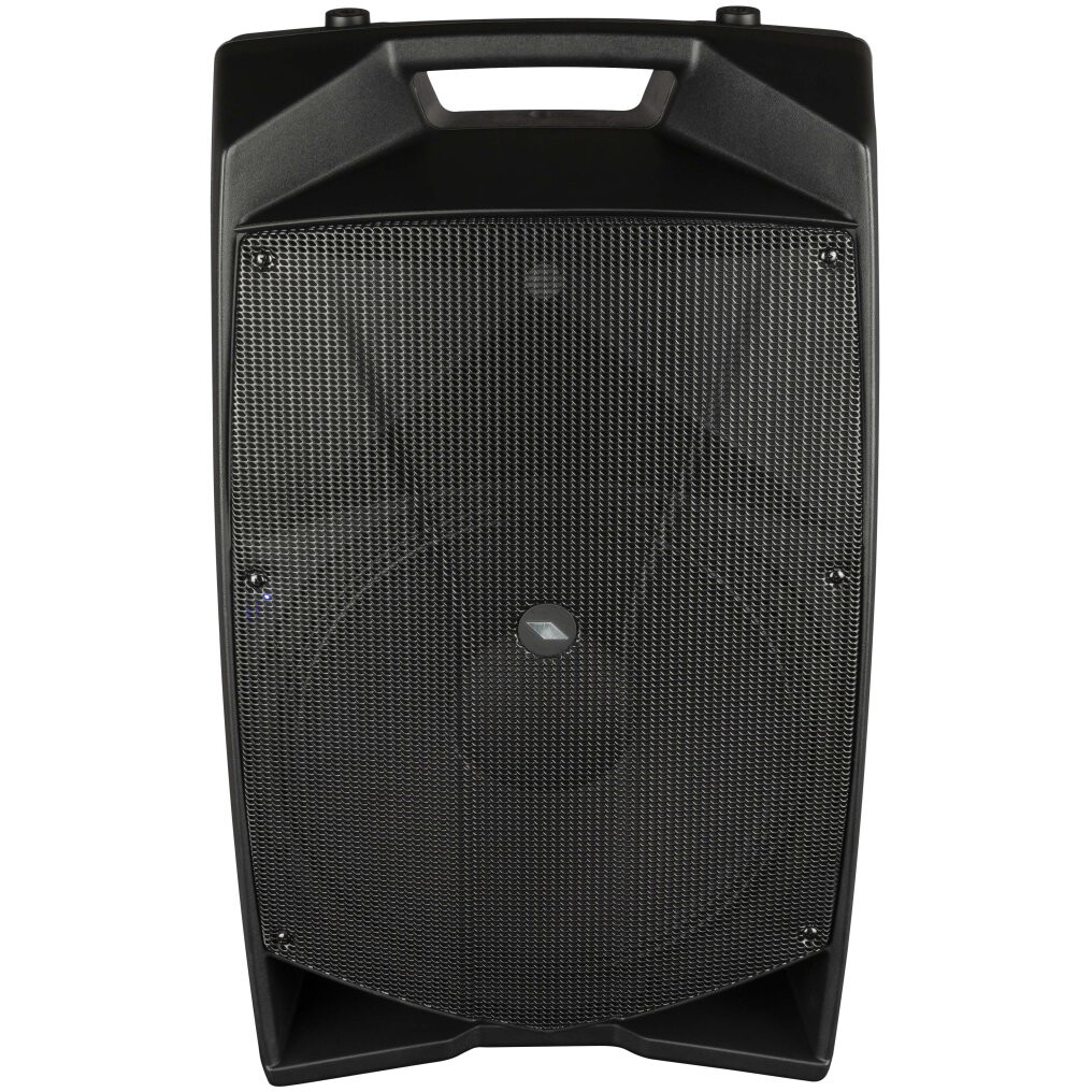 Акустическая система PROEL V15PRO - фото 2