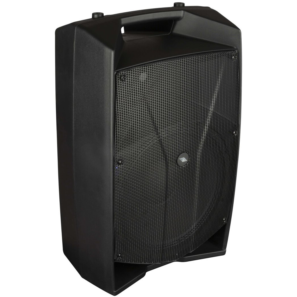 Акустическая система PROEL V15PRO - фото 4