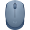 Мышь Logitech M171 Blue Gray (910-006866)