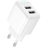 Сетевое зарядное устройство Borofone BAS41A Potential White (6941991113741)