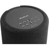 Портативная акустика Audio Pro A10 MkII W Black