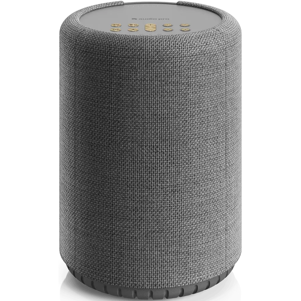 Портативная акустика Audio Pro A10 MkII W Dark Grey