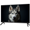 ЖК телевизор TopDevice 32" TDWC32BF2110V Black - фото 2