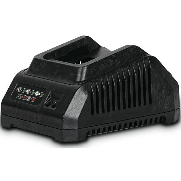 Зарядное устройство DWT CSP202008XS