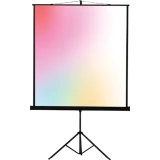 Экран Lumien Eco View 104x186 Matte White (LEV-100113)