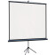 Экран Lumien Eco View 104x186 Matte White (LEV-100113) - фото 3