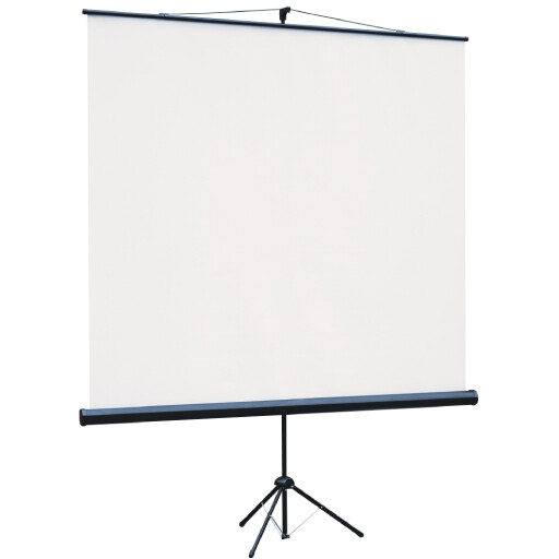 Экран Lumien Eco View 109x194 Matte White (LEV-100114) - фото 2