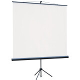 Экран Lumien Eco View 124x221 Matte White (LEV-100115)