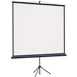Экран Lumien Eco View 124x221 Matte White (LEV-100115)