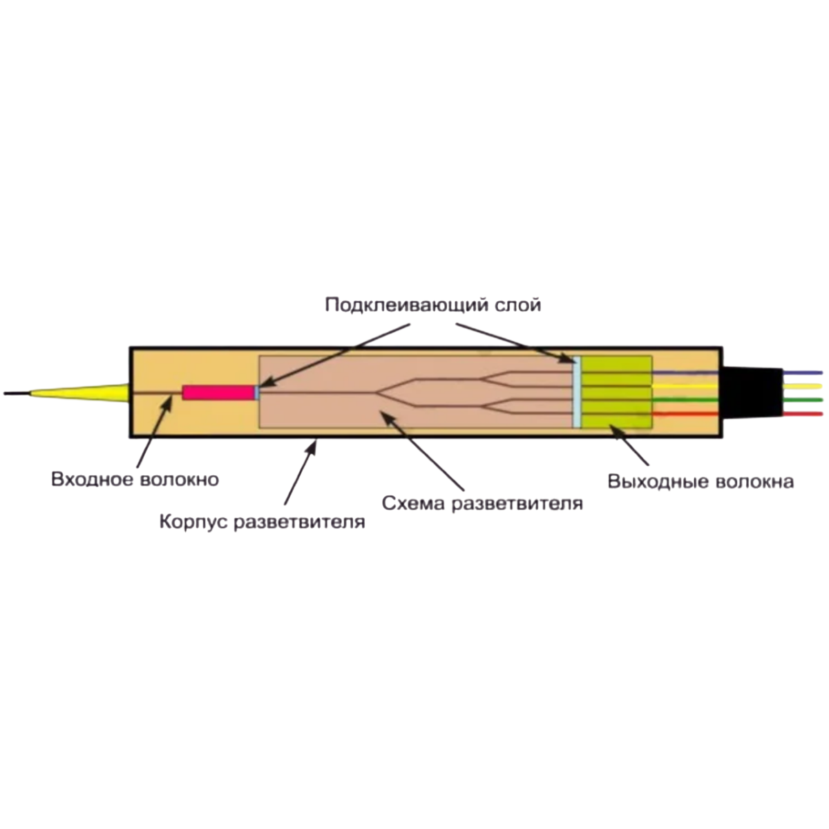 Делитель мощности SNR SNR-PLC-M-1x2-SC/UPC - фото 2