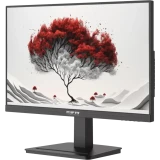 Монитор RDW Computers 24" 2401K (F05B0100V2A1H) (2401K/F05B0100V2A1H)