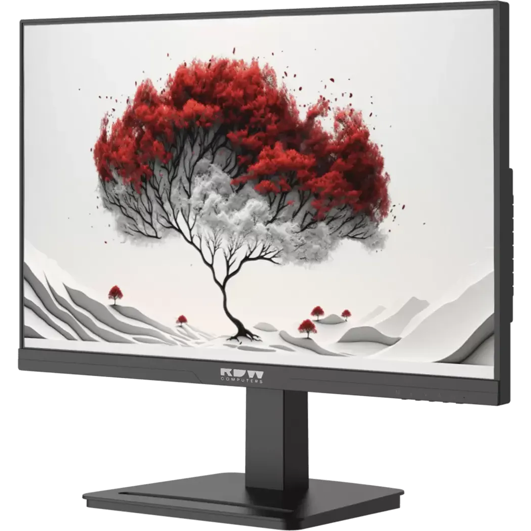 Монитор RDW Computers 24" 2401K (F05B0100V2A1H) - 2401K/F05B0100V2A1H - фото 2