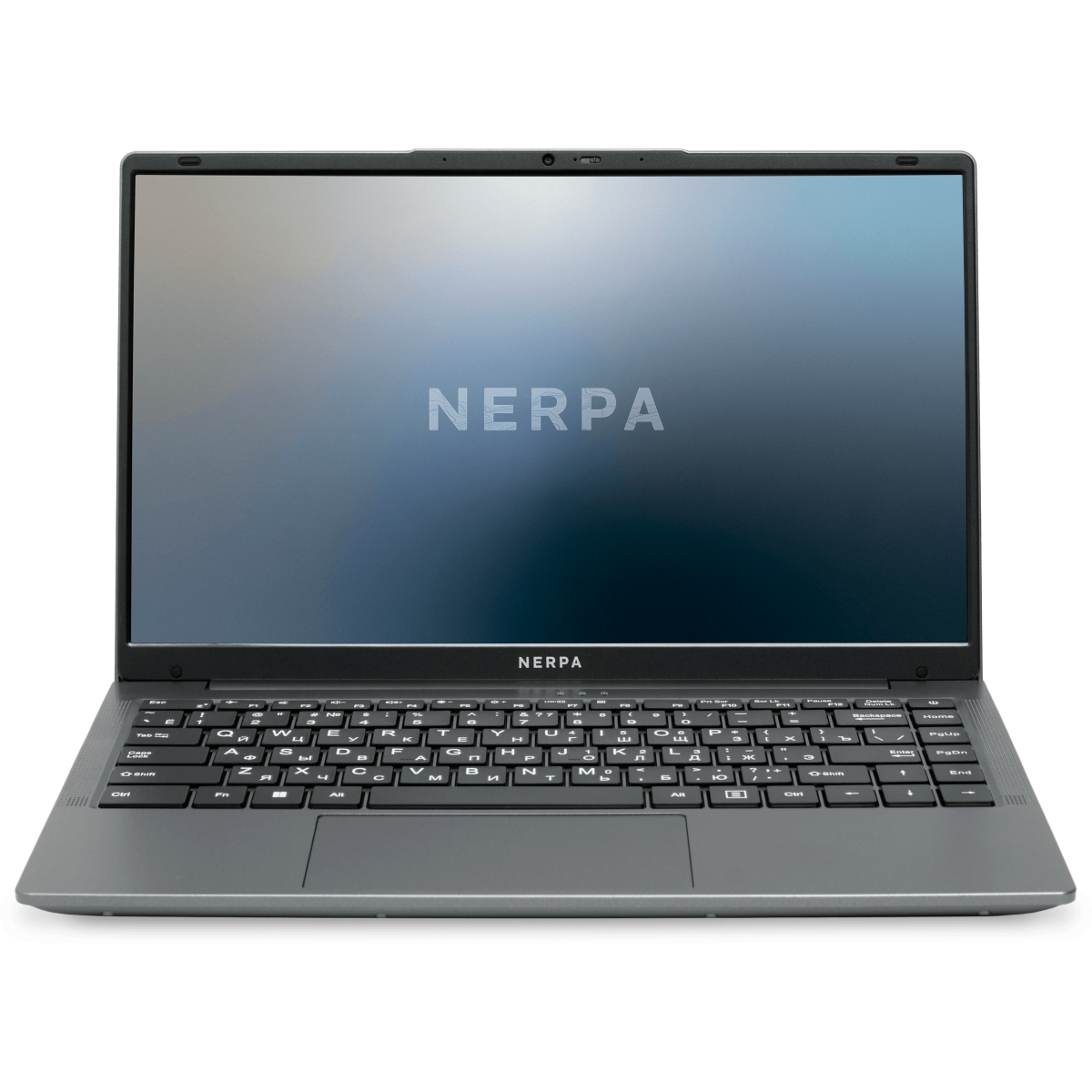 Ноутбук Nerpa Caspica A542-14YM (165002G) - A542-14YM165002G