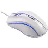 Мышь SmartBuy 338 White (SBM-338-W)