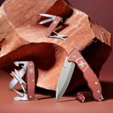 Мультитул Victorinox Classic SD Alox LE 2025 Stone Red (0.6221.L25)