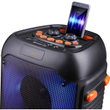 Портативная акустика Defender Boomer 25 Black (65425)