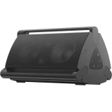 Портативная акустика TCL TP300K Black