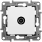 Розетка TV Legrand Etika 672265