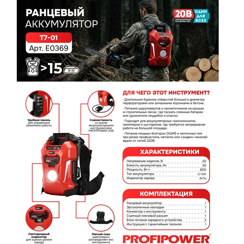 Зарядное устройство + АКБ PROFIPOWER T7-01 - E0369 - фото 5