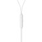 Гарнитура Belkin SoundForm ANC Wired Earbuds (USB-C) White - G3H0003hqWH - фото 2