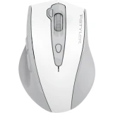 Мышь A4Tech Fstyler FG55S Plus White (FG55S PLUS)
