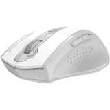 Мышь A4Tech Fstyler FG55S Plus White (FG55S PLUS)