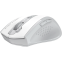 Мышь A4Tech Fstyler FG55S Plus White - FG55S PLUS - фото 2