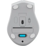 Мышь A4Tech Fstyler FG55S Plus White (FG55S PLUS)