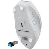 Мышь A4Tech Fstyler FG55S Plus White (FG55S PLUS)