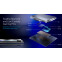 Процессор Intel Core Ultra 5 250KF Plus OEM - AT807683B9B4887 - фото 5