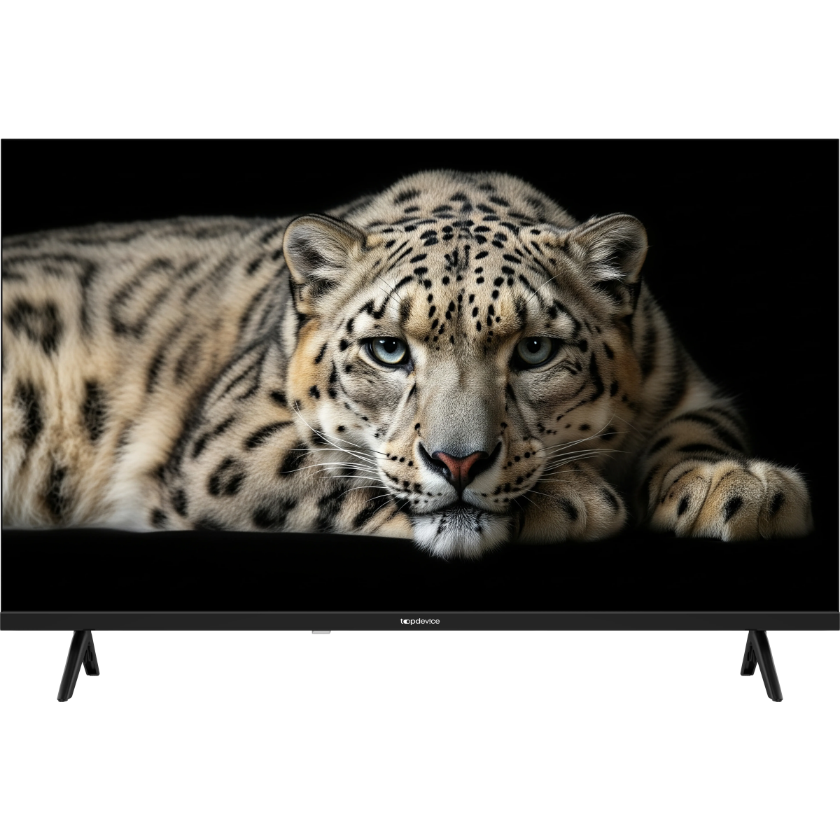 ЖК телевизор TopDevice 32" TDHTV32Y1HD Black - TDHTV32Y1HD_BK