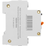 Автоматический выключатель дифференциального тока TDM ELECTRIC SQ0202-0502