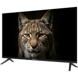 ЖК телевизор TopDevice 32" TDHTV32YFD Black (TDHTV32YFD_BK)