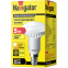 Светодиодная лампочка Navigator NLL-R50-5-230-2.7K-E14 (5 Вт, E14) - 94259 - фото 2