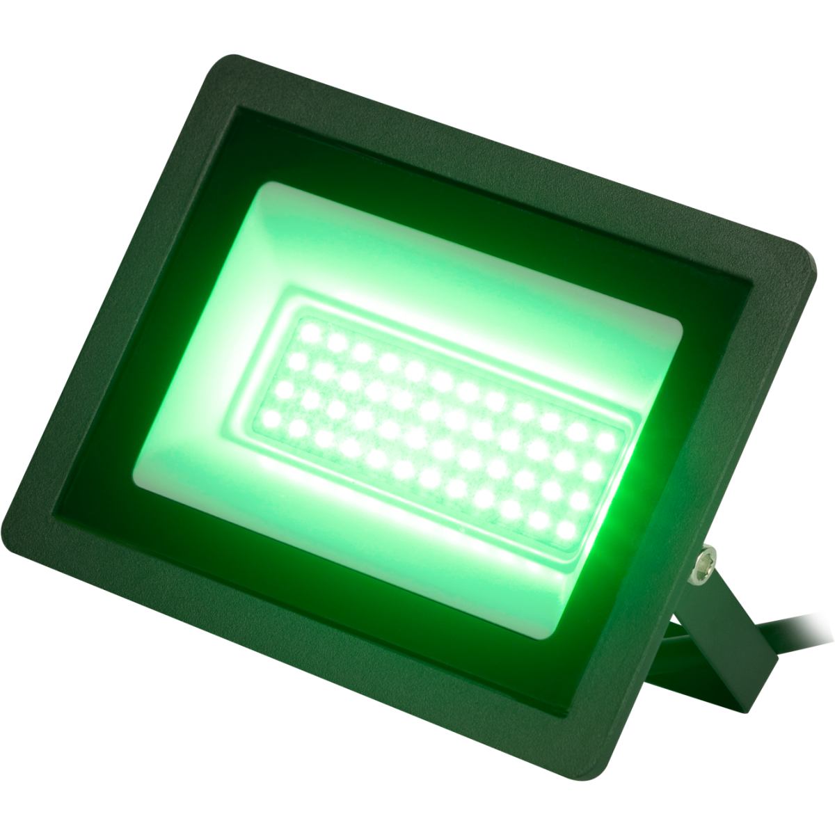 Прожектор ЭРА LPR-025-GREEN-050 - Б0064715