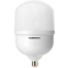Светодиодная лампочка GENERICA LL-HP-50-230-65-E27-E40-G (50 Вт, E27/E40)