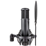 Микрофон sE Electronics SE 2200