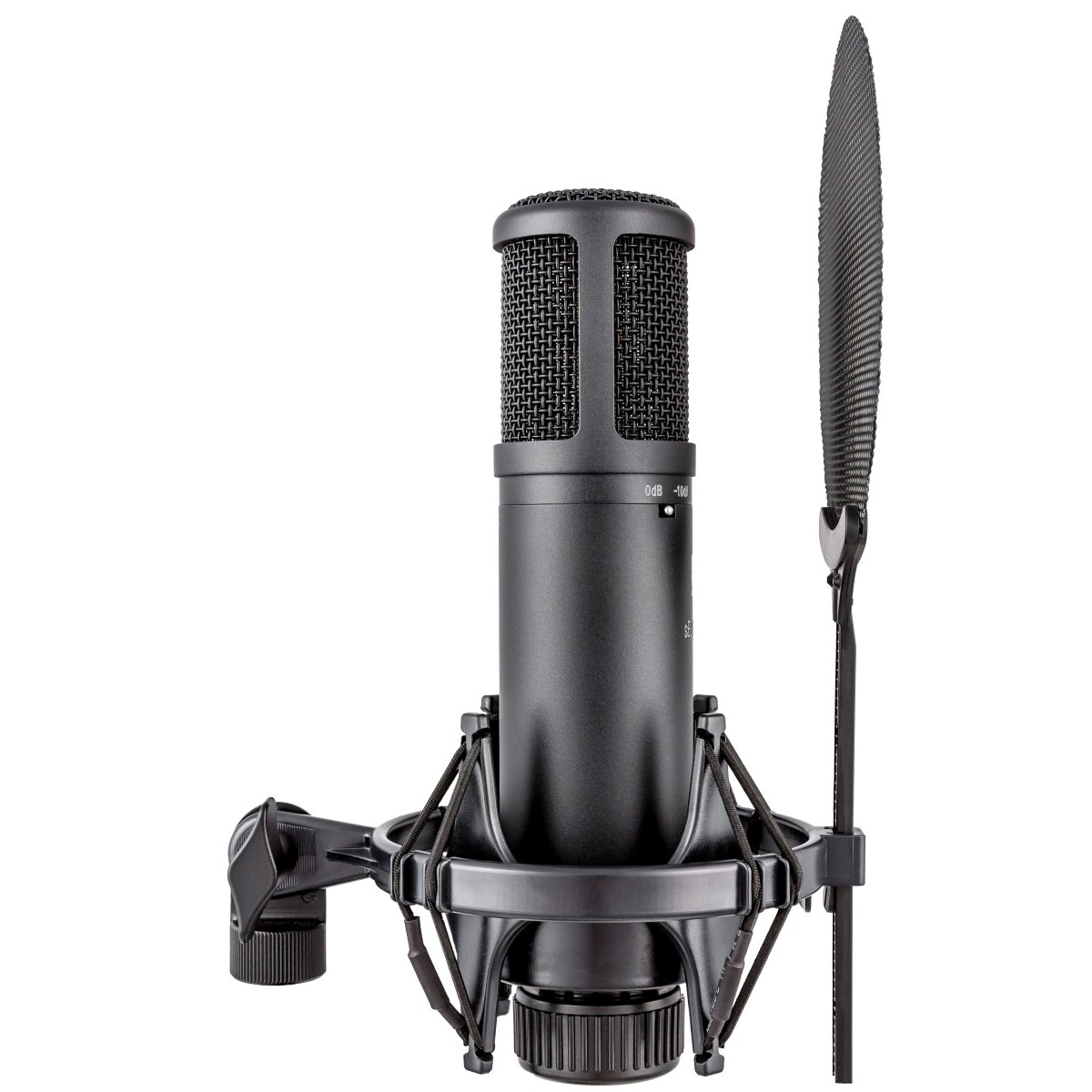 Микрофон sE Electronics SE 2200 - фото 3
